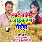 Kate Nhi Jaib Ham Gehuwa