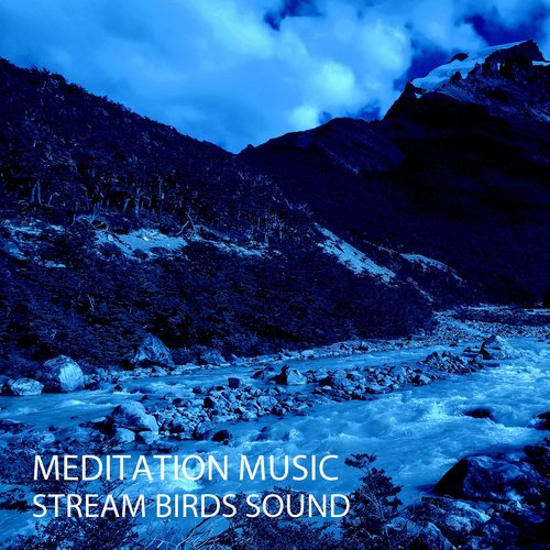 Meditation Music: Stream Birds Sound_poster_image