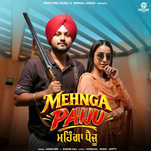 Mehnga Paiju