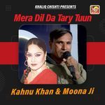 Mera Dil Da Tary Tuun
