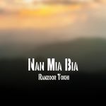 Liaria Stargi Piashan Dia Zargi Za Ranzoor Diwani Kim artwork