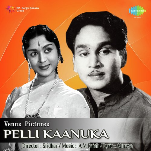 Kannulatho Palakarinchu