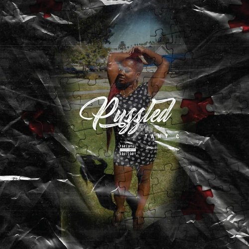 The Program (feat. J Stone) cover art