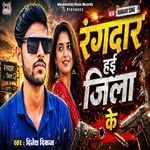Rangdaar Hae Hum Jeela Ke
