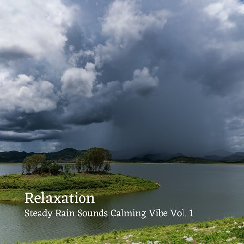 Exotic Birds Sounds in the Rain cover art