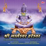Shri Marleshwar Hareshwar
