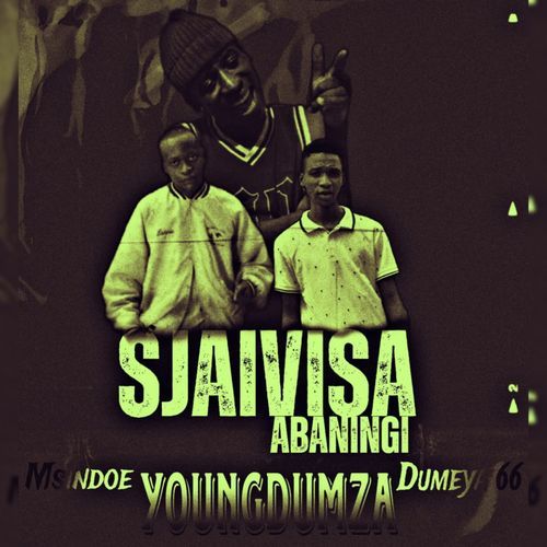 Sjaivisa Abaningi cover art