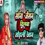 Sona Jeshan Dilwa Torli Jaan