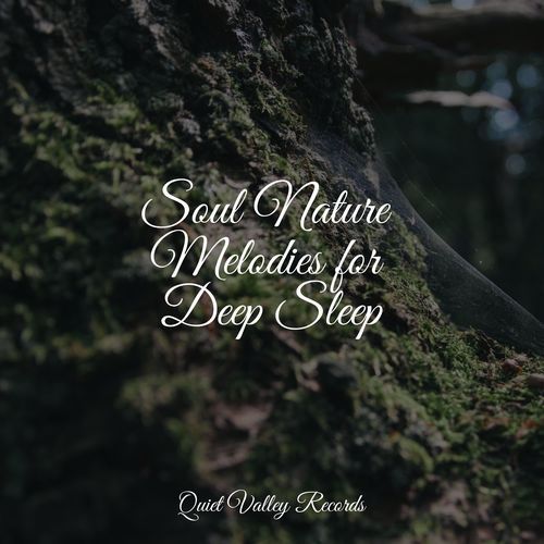 Soul Nature Melodies for Deep Sleep