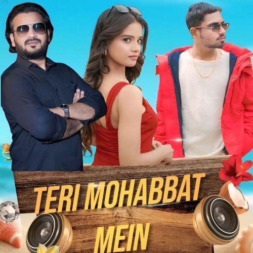 Teri Mohabbat Mein