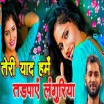 Teri yad hame Tadpaye Languriya