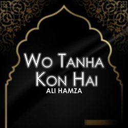 Wo Tanha Kon Hai-OzxfSCIAQ0c