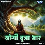 Yogi Brija Bhar Vol - 3