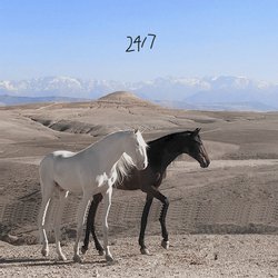 24/7