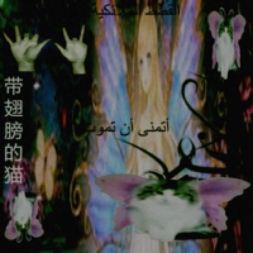 <444KATZWITHWINGZ444>