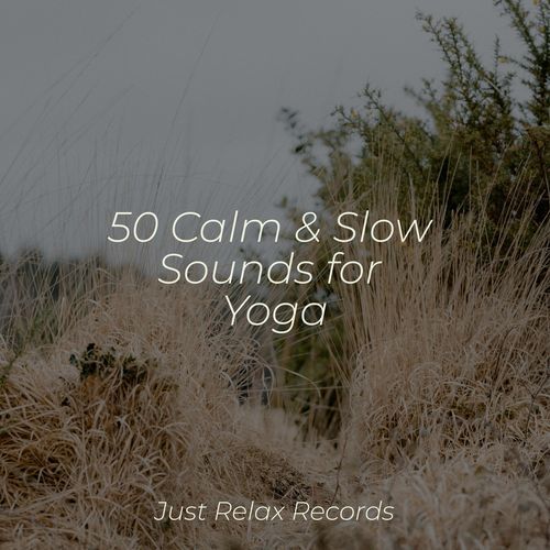 50 Calm & Slow Sounds for Yoga