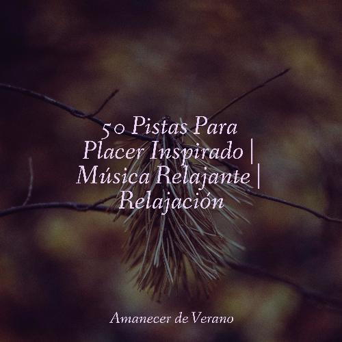 Sinfonía de Sueño Susurrante cover art