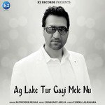 Ag La Ke Tur Gayi Mele Nu - Single