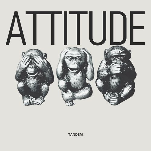 Attitude