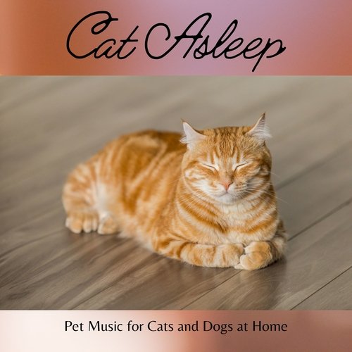 Cat Asleep - Pet Music for Cats and Dogs at Home