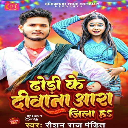 Dhodhi Ke Deewana Ara Jila H