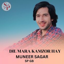 Dil Mara Kamzor Hay-OlkqXUxhTmQ