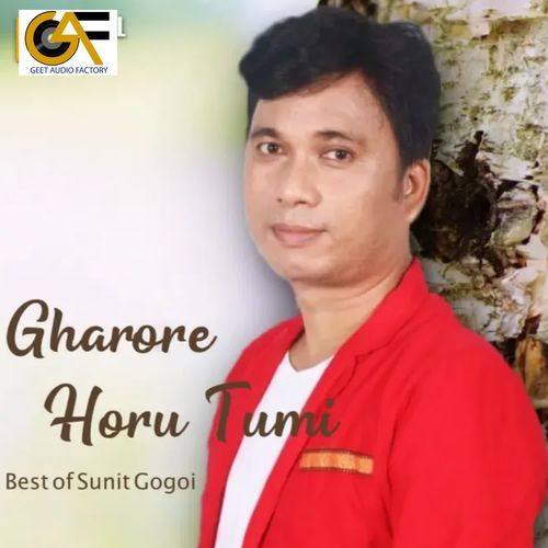 Gharore Horu Tumi