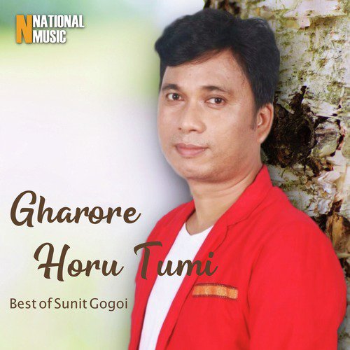Gharore Horu Tumi - Single