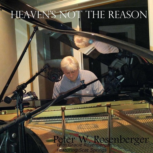 Heaven's Not the Reason (feat. Scat Springs)_poster_image