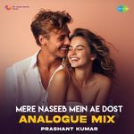 Mere Naseeb Mein Ae Dost - Analogue Mix