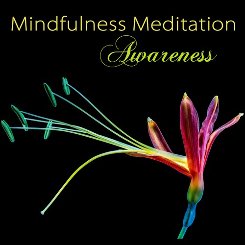 Mindfulness Meditation Awareness - Peaceful Music for Deep Zen Meditation & Well Being