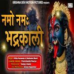 Namo Namah Bhadrakali