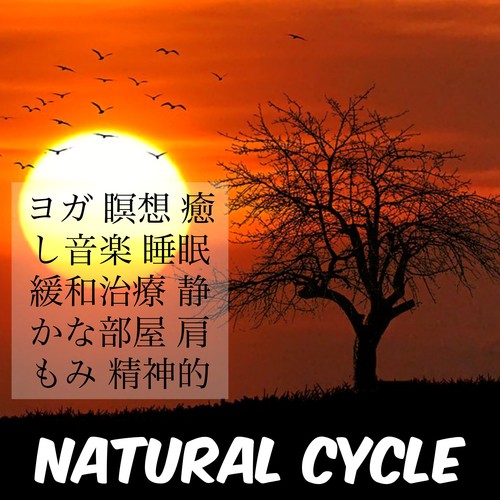 Natural Cycle - ヨガ 瞑想 癒し音楽 睡眠 緩和治療 静かな部屋 肩もみ 精神的_poster_image