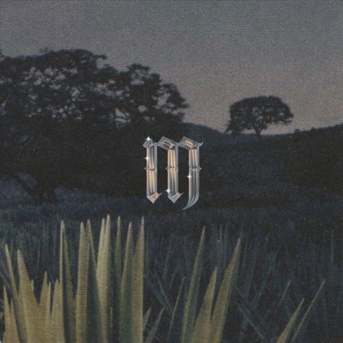 DEmiGoDZ (feat. NEWWAVE) cover art