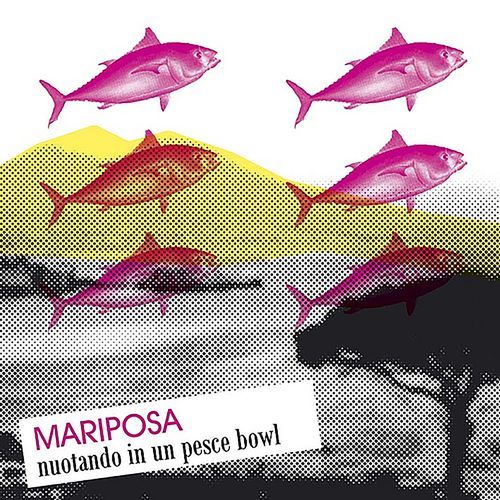 Nuotando in Un Pesce Bowl