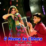 O Meena ka Chhora Gajab Lage