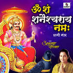 Om Sham Shanicharaya Namah