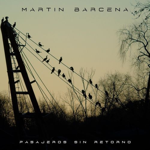 Perdonar (feat. Guido Solari & Nico Ricardi) cover art