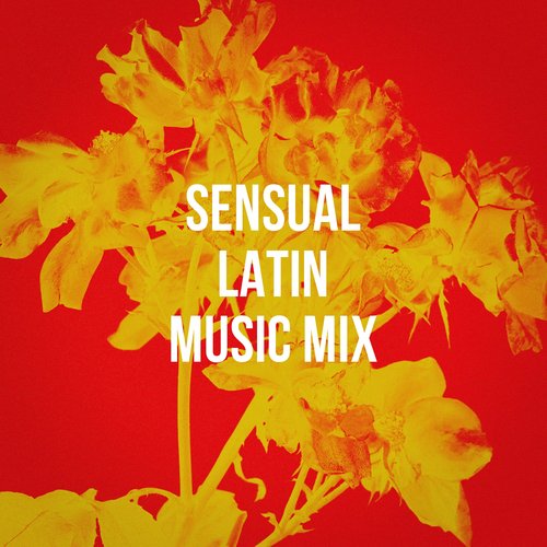 Sensual Latin Music Mix