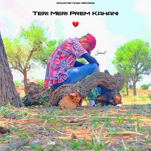 Teri Meri Prem Kahani