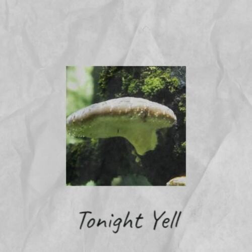 Tonight Yell_poster_image