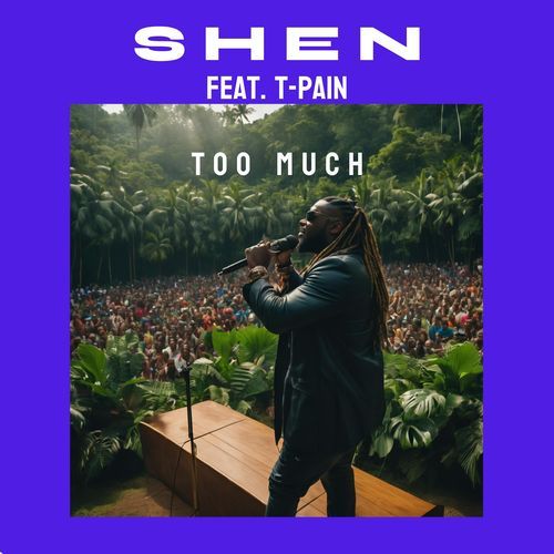 Too Much (feat. T-Pain)