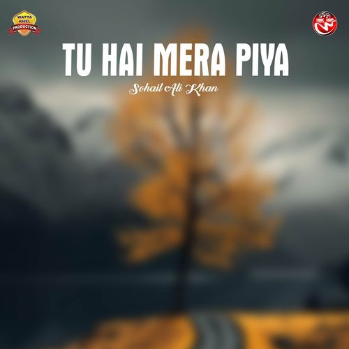 Tu Hai Mera Piya