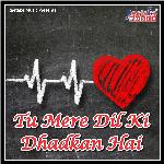 Tu Mere Dil Ki Dhadkan Hai