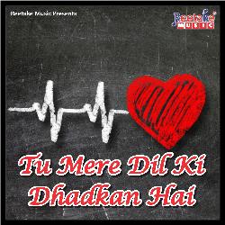 Tu Mere Dil Ki Dhadkan Hai-PiMnaCJKQGw