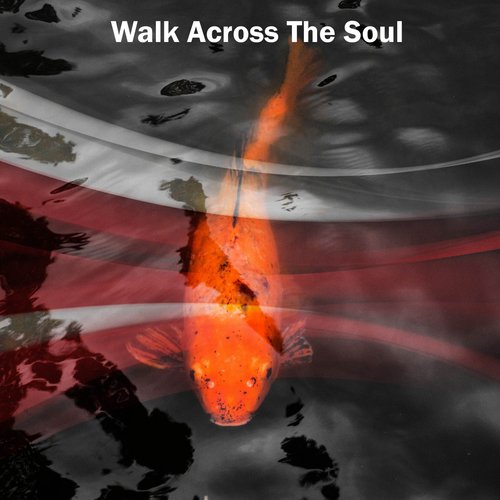 Walk Across The Soul
