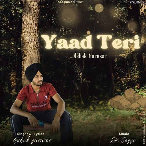 YAAD TERI