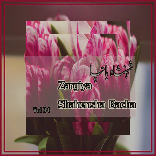 Da Shar Khukley Waghma Tapey - Song Download from Zargiya, Vol. 34 ...