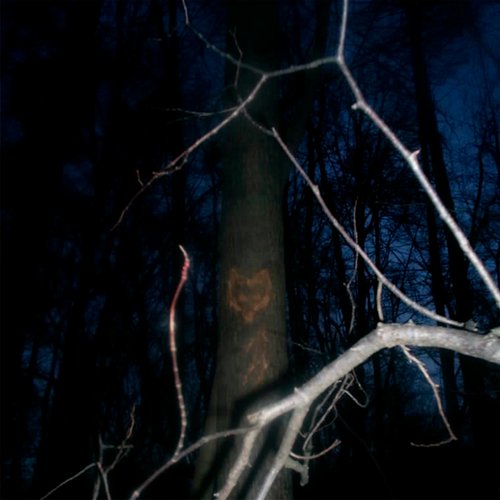 ulver cover art