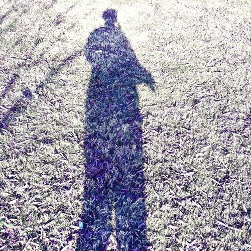 quester (feat. Any-Any)